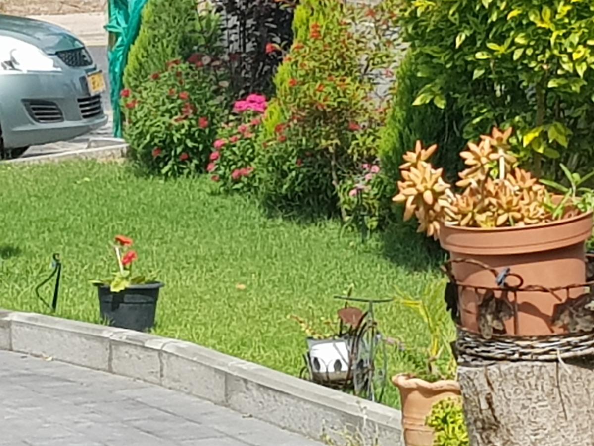 A Pastoral B & B Giv'at Ada Dış mekan fotoğraf